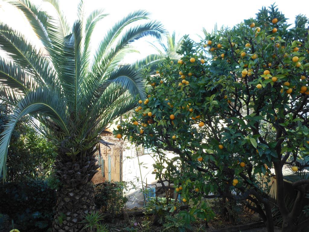Hotel Villa Les Cygnes Nice Dış mekan fotoğraf
